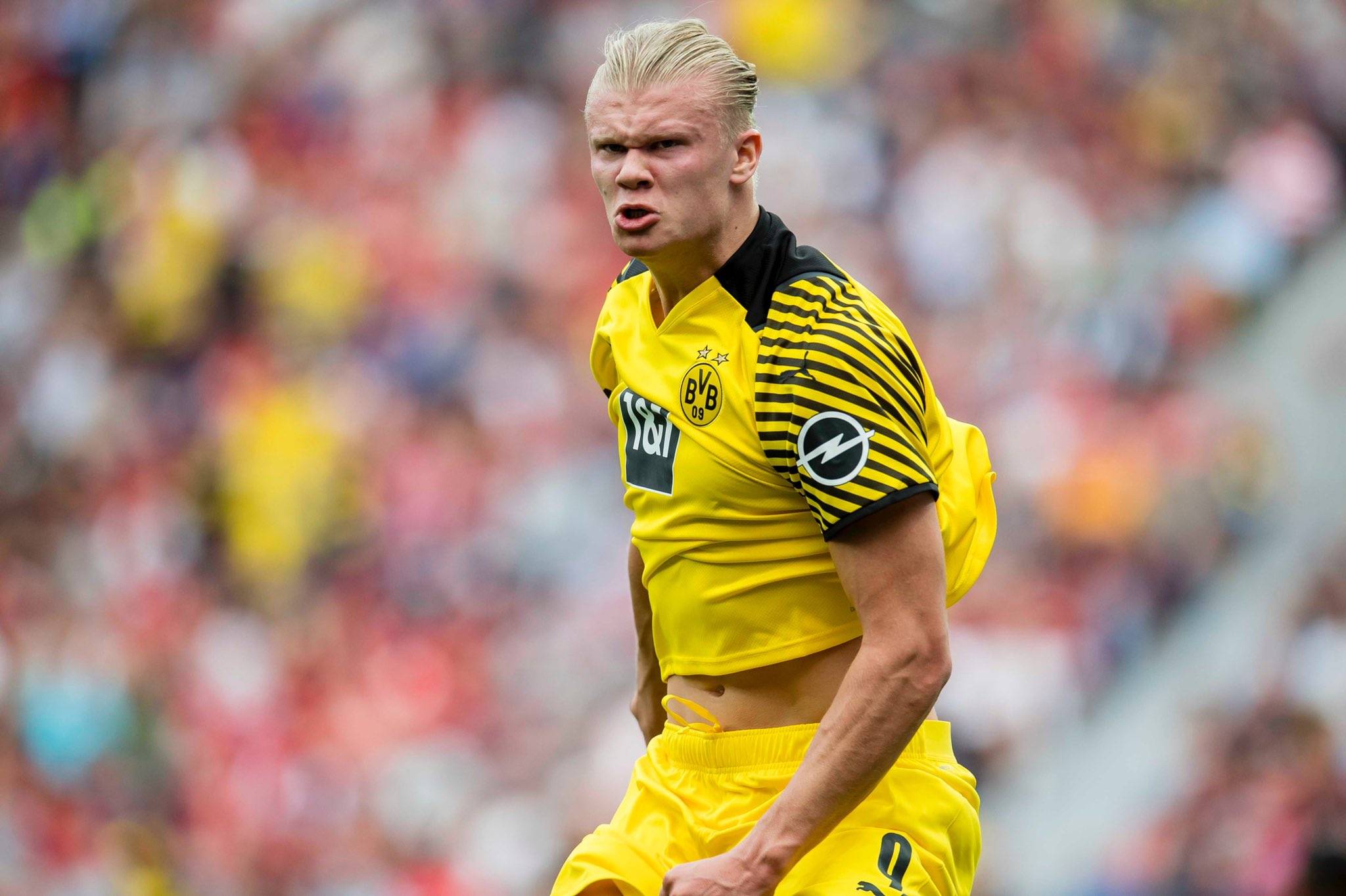 2025赛季中国三级职业联赛俱乐部场均观众人数排名